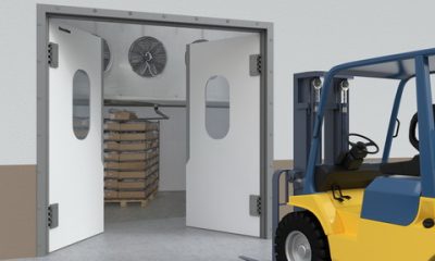 МАЯТНИКОВЫЕ ДВЕРИ